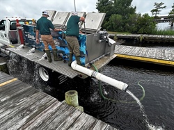 NEW Striped Bass Stocking Effort Aims to Restore Population