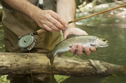 A Mindset for Fly Fishers