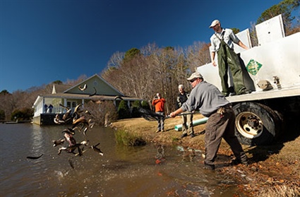 Surplus Trout Coming to 38 Impoundments in Central and Western North Carolina this Winter