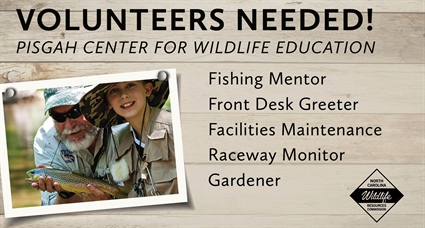 Volunteers Needed at Pisgah Center for Wildlife Education