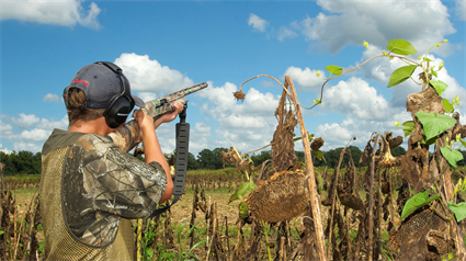 Dove Hunting Season Opens September 4