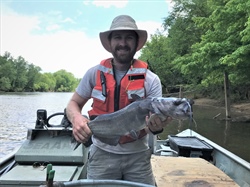 The White Catfish Returns to Several Southeastern Streams