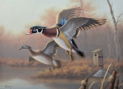 Final Edition of the North Carolina Waterfowl Print and Stamp on Sale Now