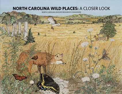 Updated Educator Resource Focuses on Native Wildlife and Habitats