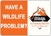 Have a Wildlife Problem?