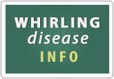 Whirling Disease Info