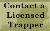 Contact a Licensed Trapper