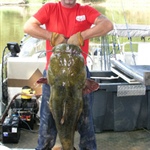 NC Record Flathead Catfish