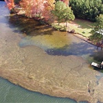 Aerial view of hydrilla on the Eno River