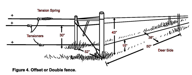Fencing To Exclude Deer, How To Keep Deer Out Of Garden Electric Fence