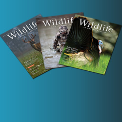 Magazine subscription link. Graphic depicts three overlapping covers of Wildlife in North Carolina Magazine fanned out.