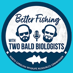 Podcast link. Listen and Subscribe. Graphic depicts two smiling faces with a microphone in between them and the title Better Fishing with Two Bald Biologists