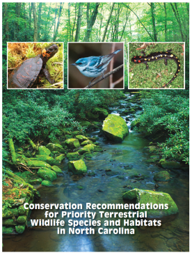 Cover to Conservation Recommendations for Priority Terrestrial Wildlife Species and Habitats in North Carolina, featuring photos of a brook, bog turtle, cerulean warbler, and a salamander