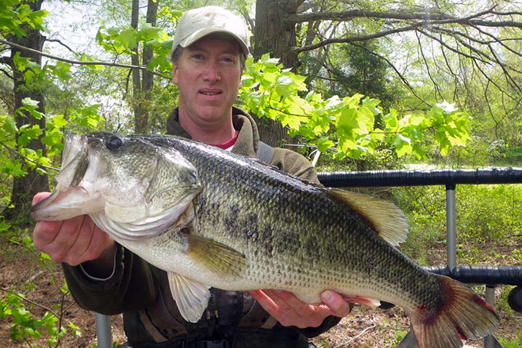 fisheries biologist holds a largemouth bass