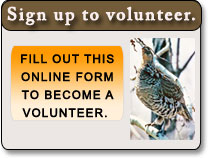 Fill out this online form to become a volunteer.