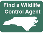 Wildlife-Control-Agent-Button