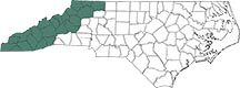 a black and white North Carolina map with the western regions shaded green