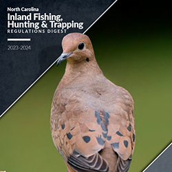 Inland Fishing, Hunting and Trapping Regulations Digest link. Image depicts the cover of the Digest featuring a dove facing the camera.